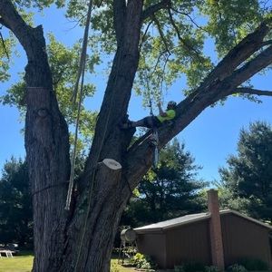 Meet your Posher, Benjamin